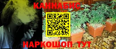 стафф Донской