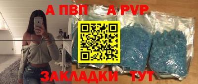стафф Донской
